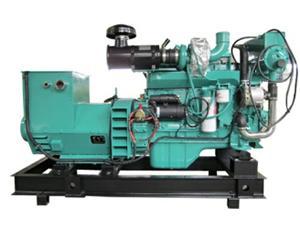 80kW Cummins Engine Powered Diesel Generator