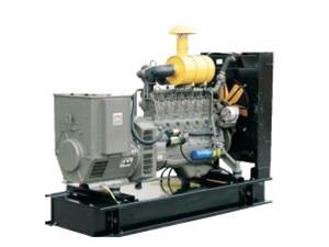 50kW Perkins Engine Powered Diesel Generator