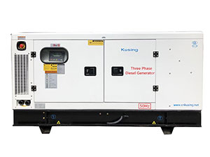40kW Lovol Engine Powered Diesel Generator