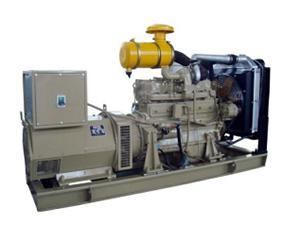 300kW Deutz Engine Powered Diesel Generator