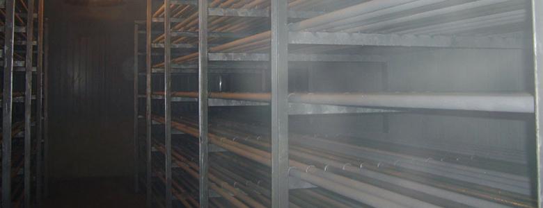 Backup Generator for Cold Storage Room