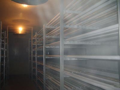 Backup Generator for Cold Storage Room